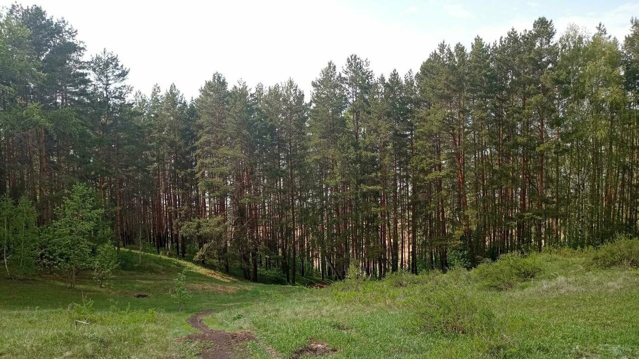 Смотровая площадка будет создана в урочище "Мон...