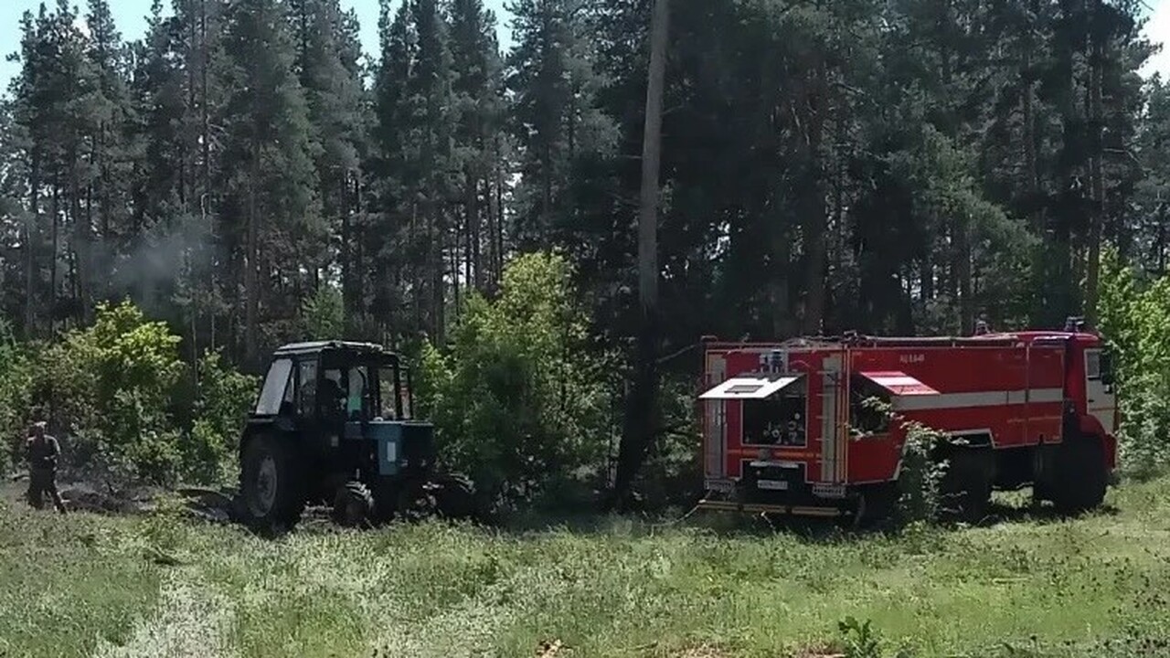 Пожар в Рачейском лесничестве, возникший из-за обломков БПЛА, ликвидирован На место оперативно прибыли сотрудники полиции ...