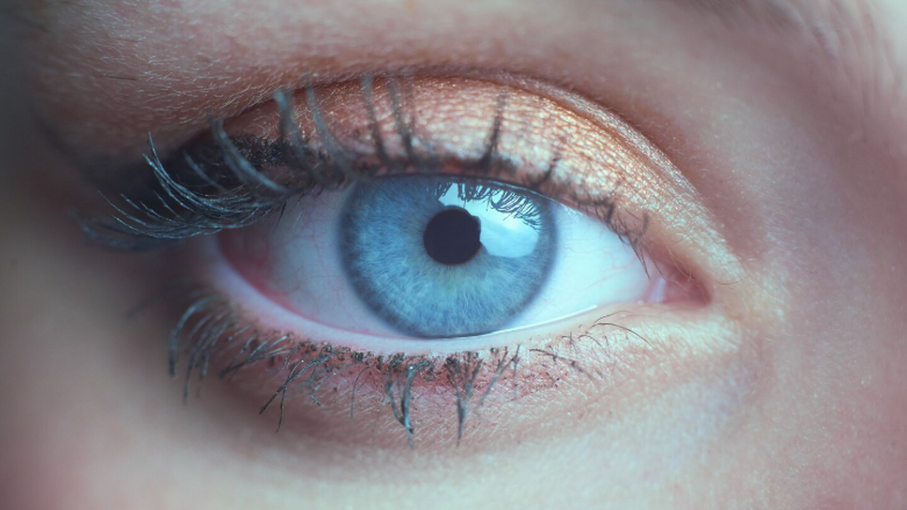 «Как карикатуристы»: супер‑распознаватели выделяют уникальные черты лиц Люди с выдающейся способностью к запоминанию ли...