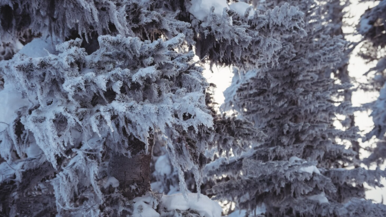 Февраль принесет в Россию резкое похолодание до...