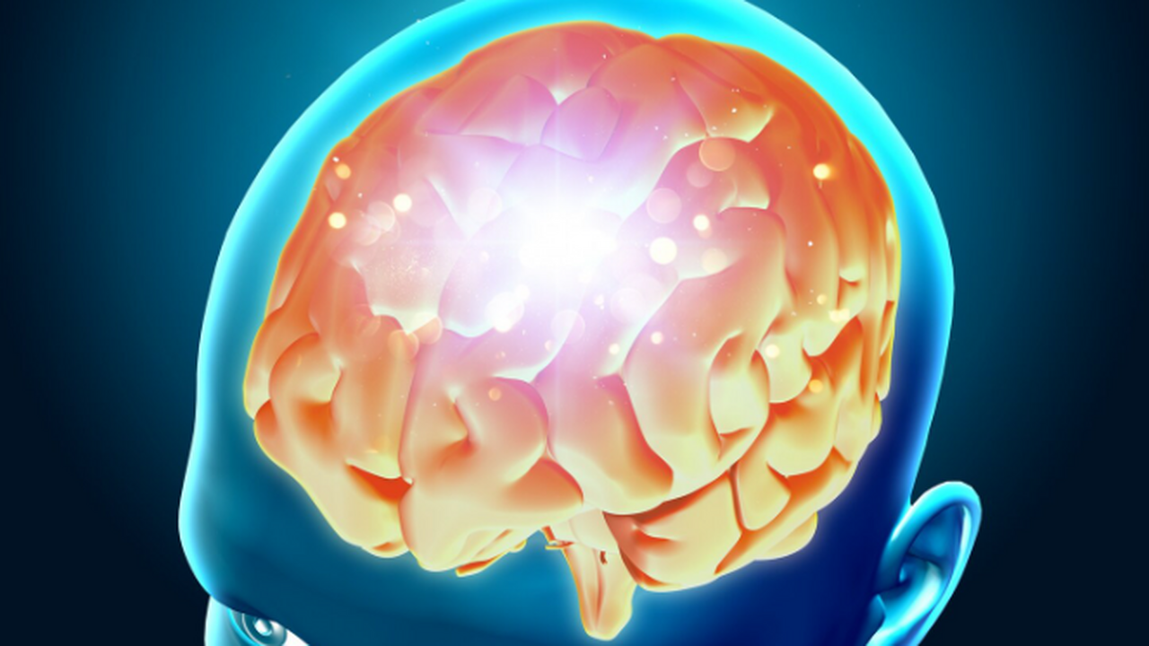 AVB: Учёные нашли различия в коре мозга у людей с психопатией Учёные выяснили, что у людей с психопатическими...