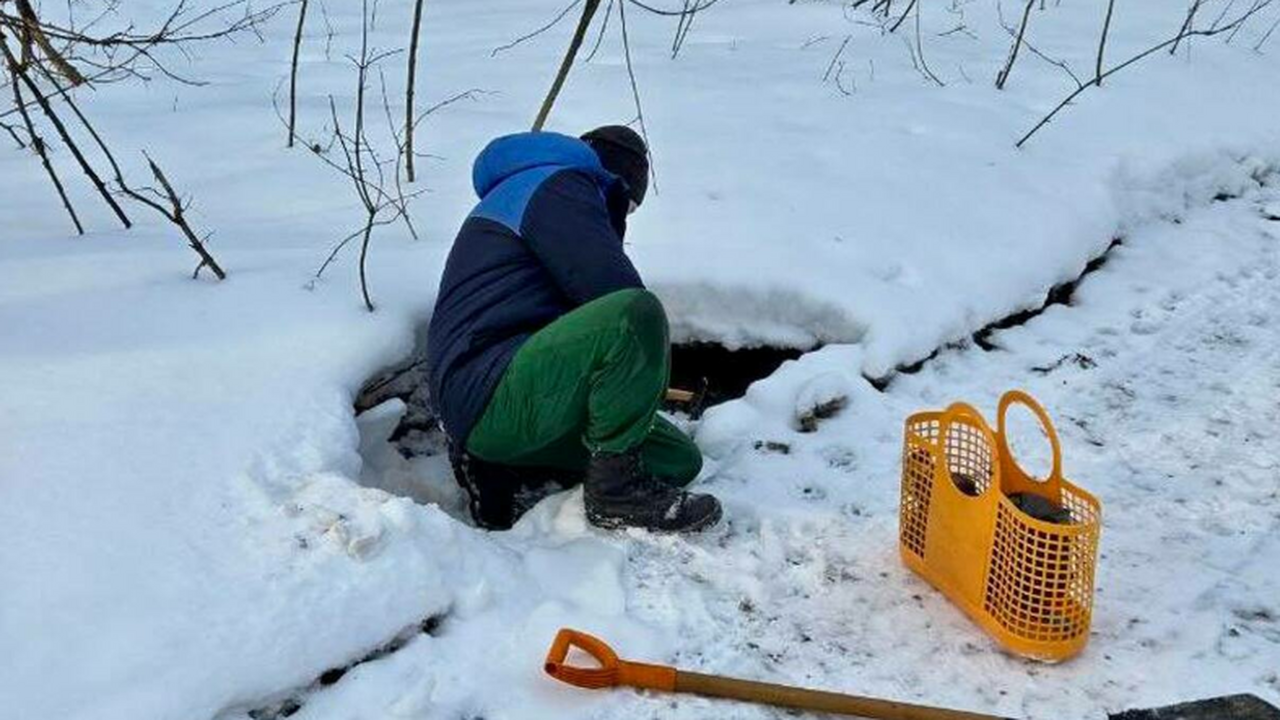 В Самаре канализационные стоки загрязнили памят...