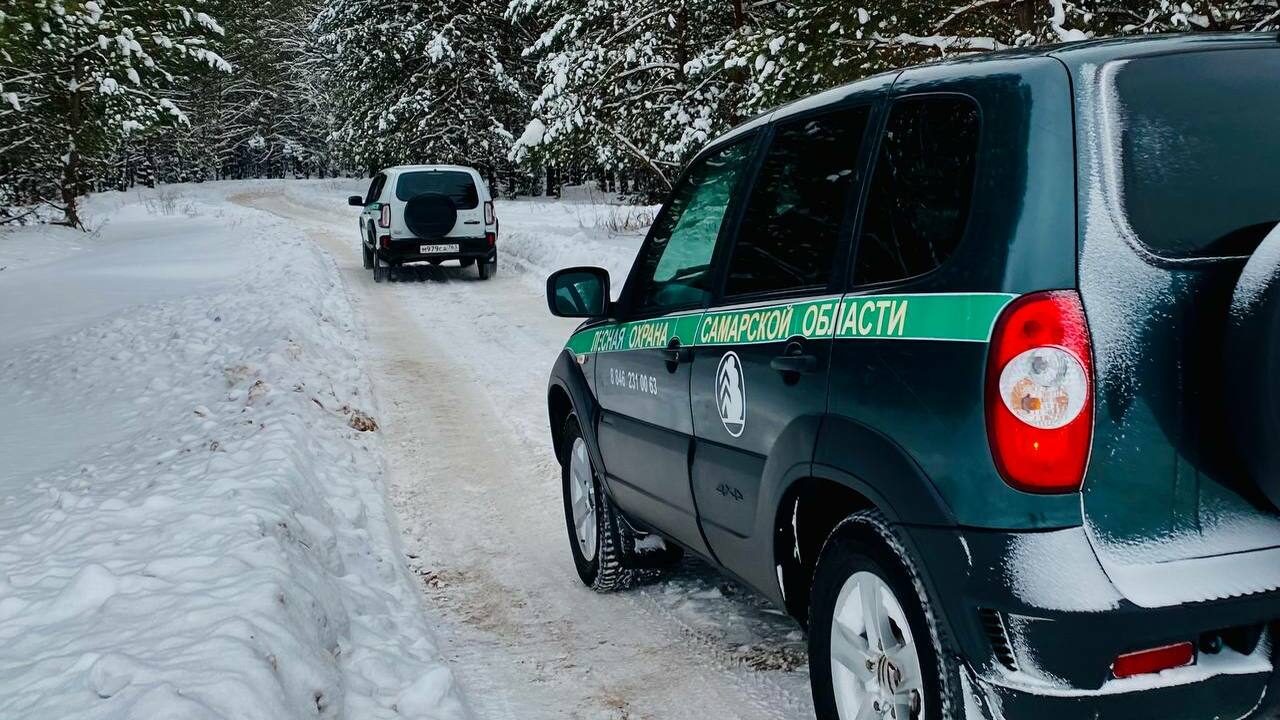 В регионе началась ежегодная операция "Ель"