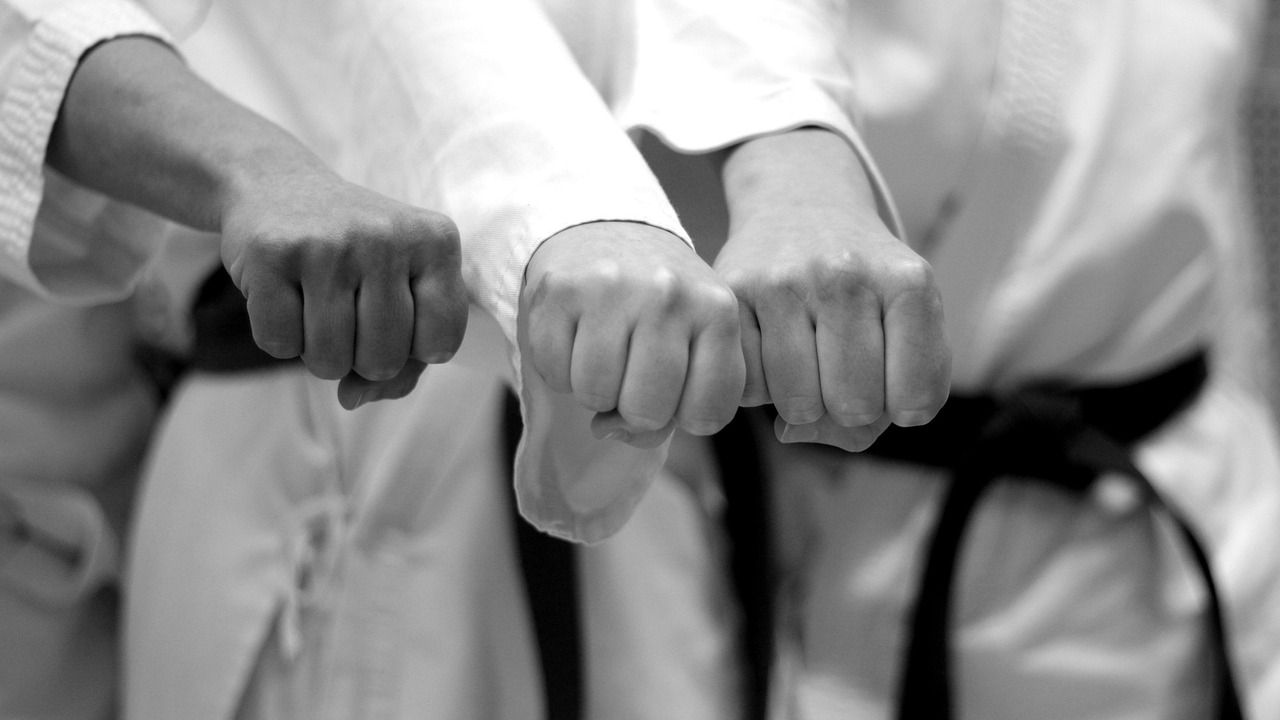 Анна Чернышева из Тольятти завоевала бронзу на международном турнире по карате Анна Чернышева представляет тольяттинскую школу...