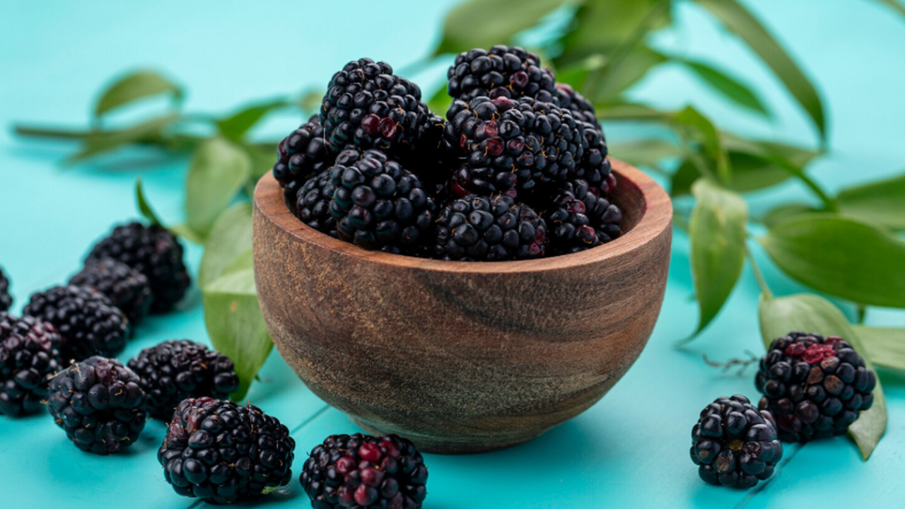 Учёные выяснили, что листья шелковицы могут вли...