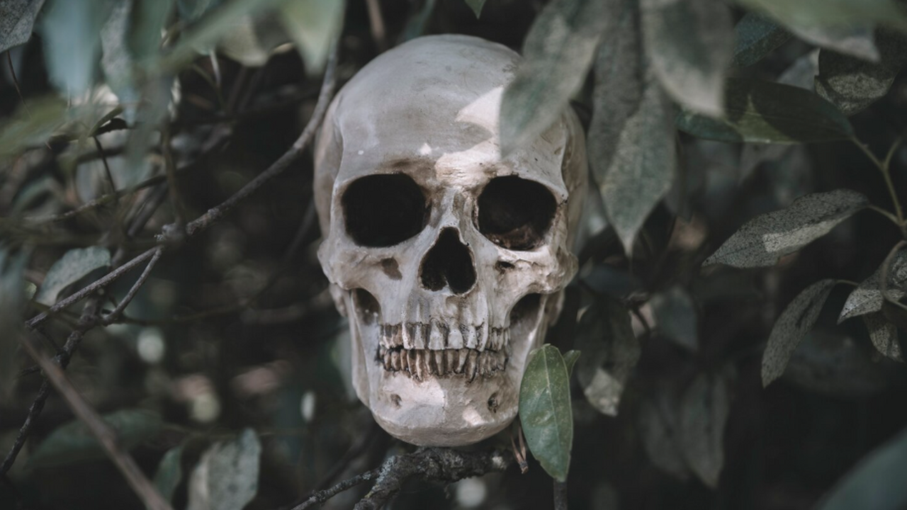 Археологи нашли в Уандлбери скелет высокого муж...