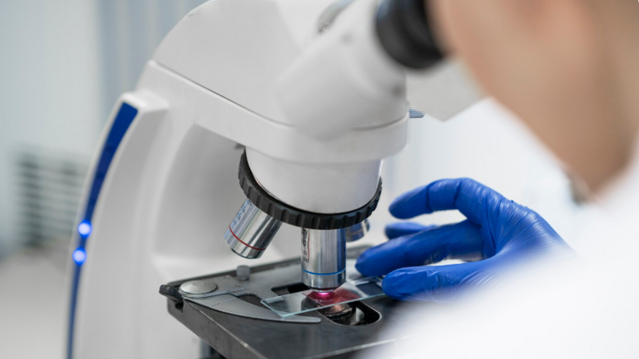 Группа учёных из Университета Цзяннань представ...