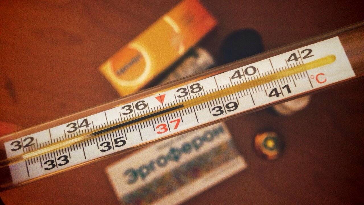 Данный штамм отличается стремительным развитием...