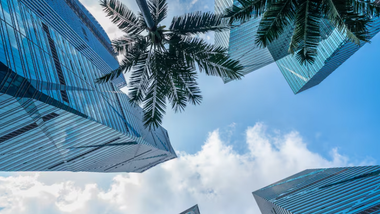 Эксперт Николай Мельник рассказал, как популярн...