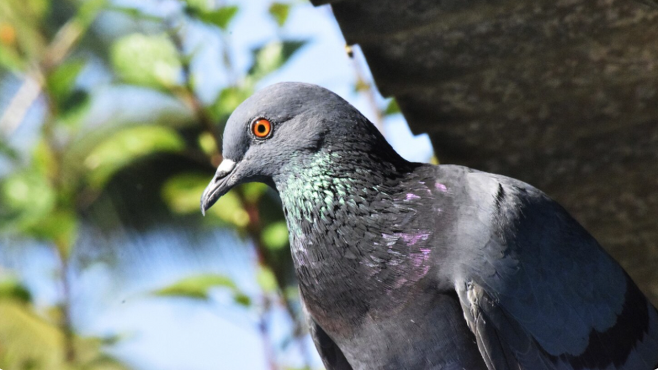 Ученые пришли к выводу, что сознание не являетс...