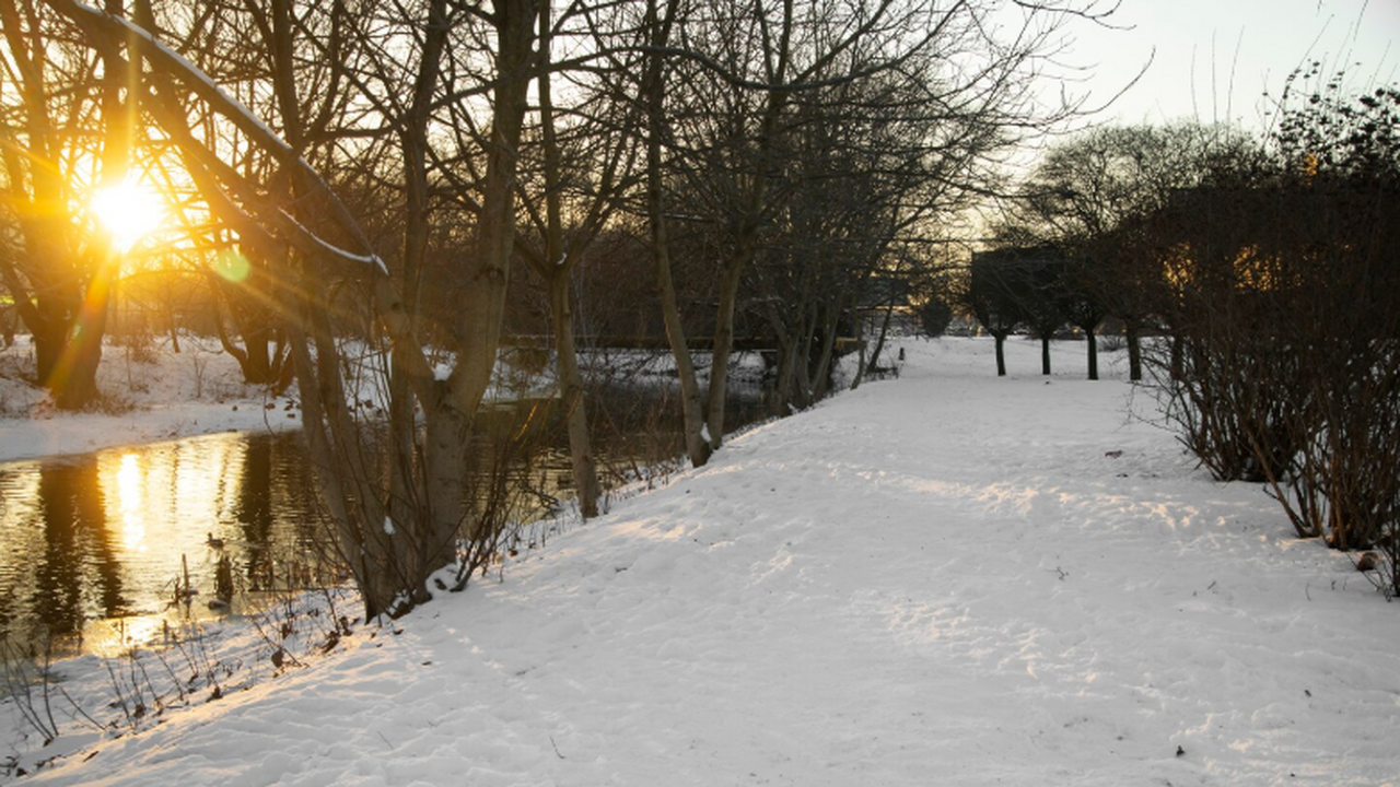 Средняя температура января 2026 года достигла 1...