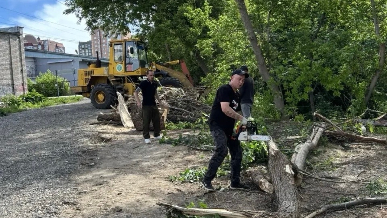 В сквере «Леснуха» в Самаре убрали порубочные остатки после обращения Поводом для проведения работ стало обращение жи...