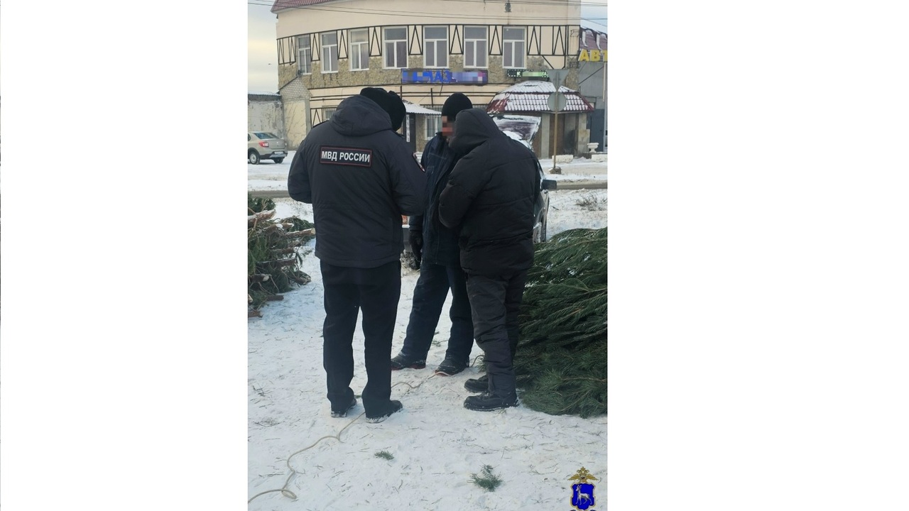 Полиция Самары проводит рейды по елочным базарам 