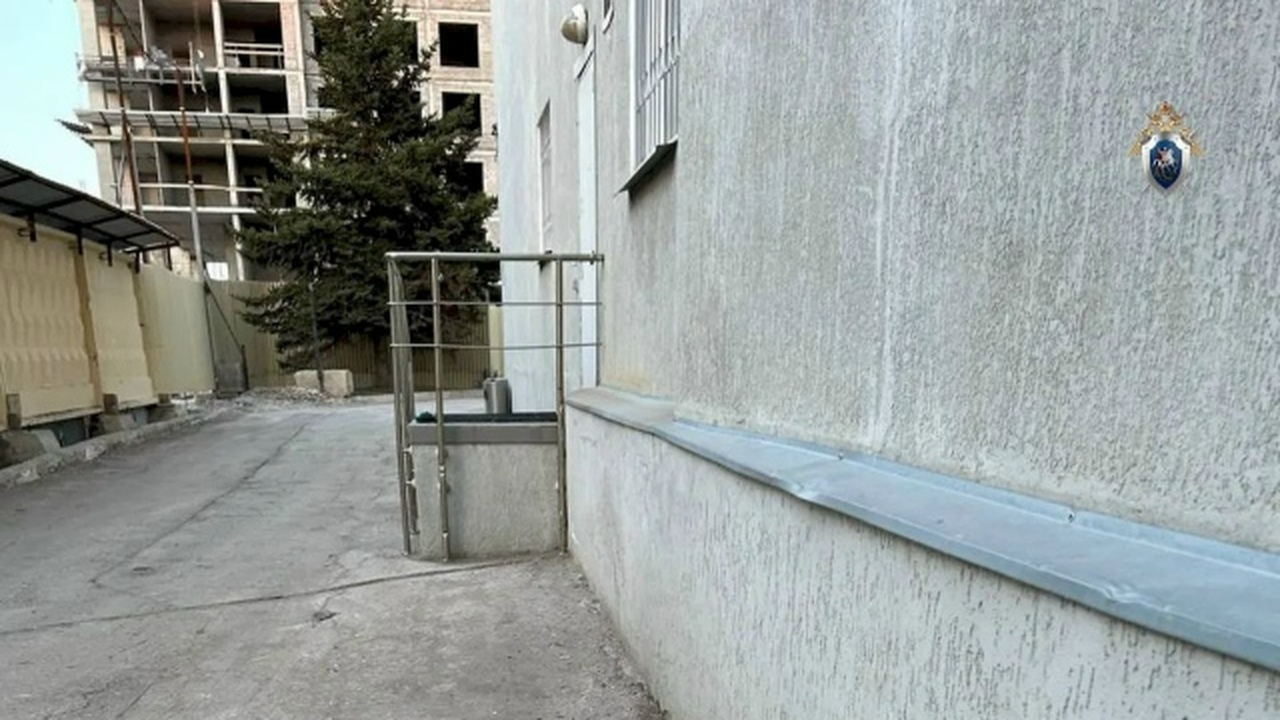 Смертельные травмы были нанесены после новогодн...