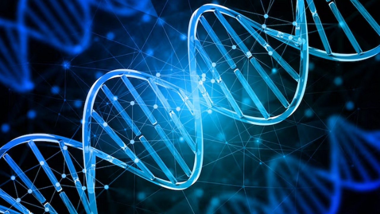 Древний пневмококк: находка МФТИ в могильнике фатьяновской культуры МФТИ сообщил о первом обнаружении следов Strept...