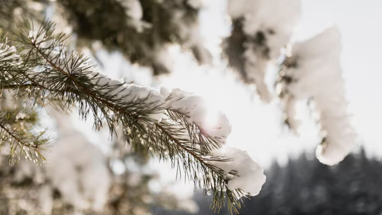 Вильфанд: первая декада ноября принесёт аномальные морозы на восток РФ Вильфанд сообщил о резком похолодании в первой ...