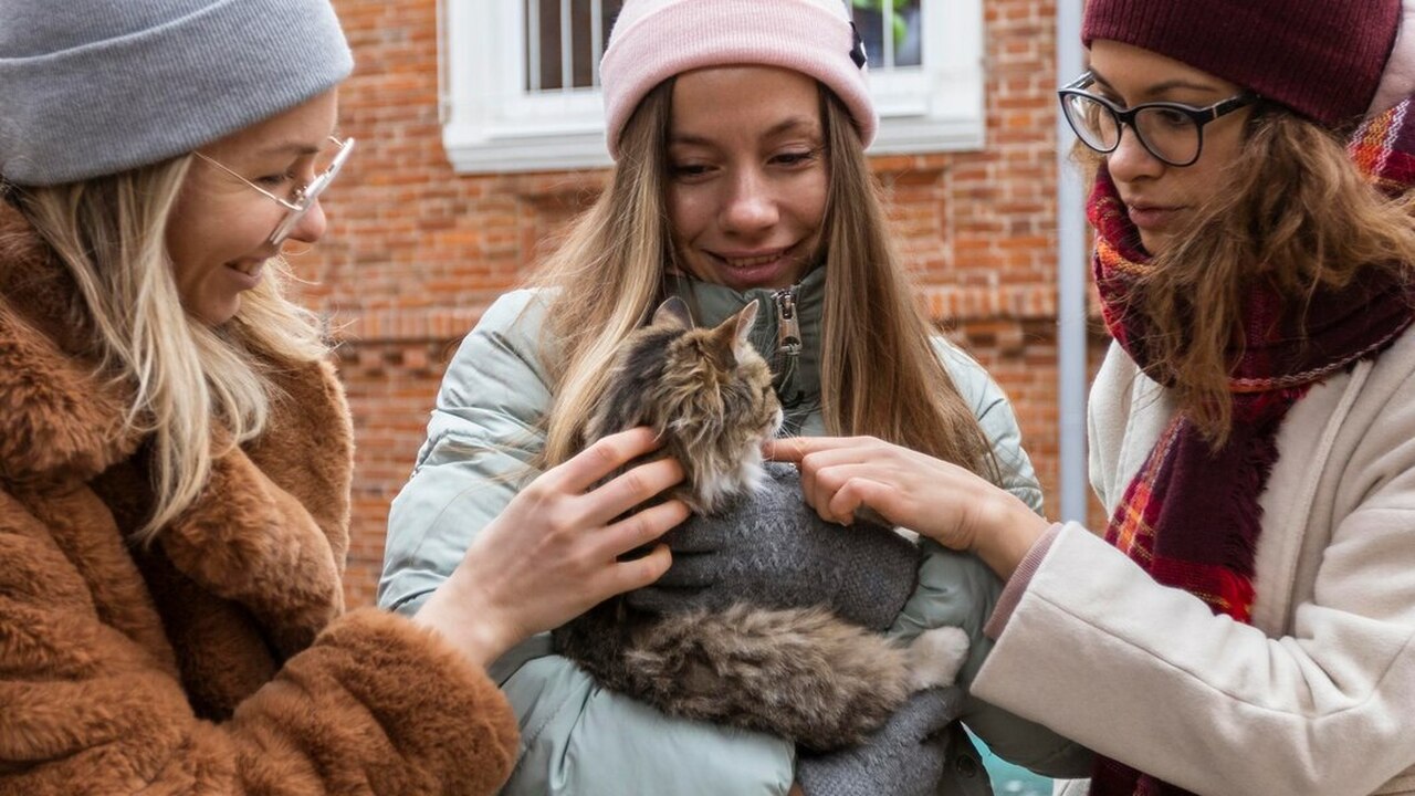 Ветеринар Татьяна Любимова поделилась с жителям...