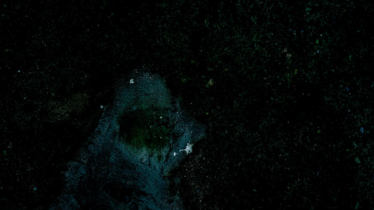 Команда физиков предложила, как использовать те...