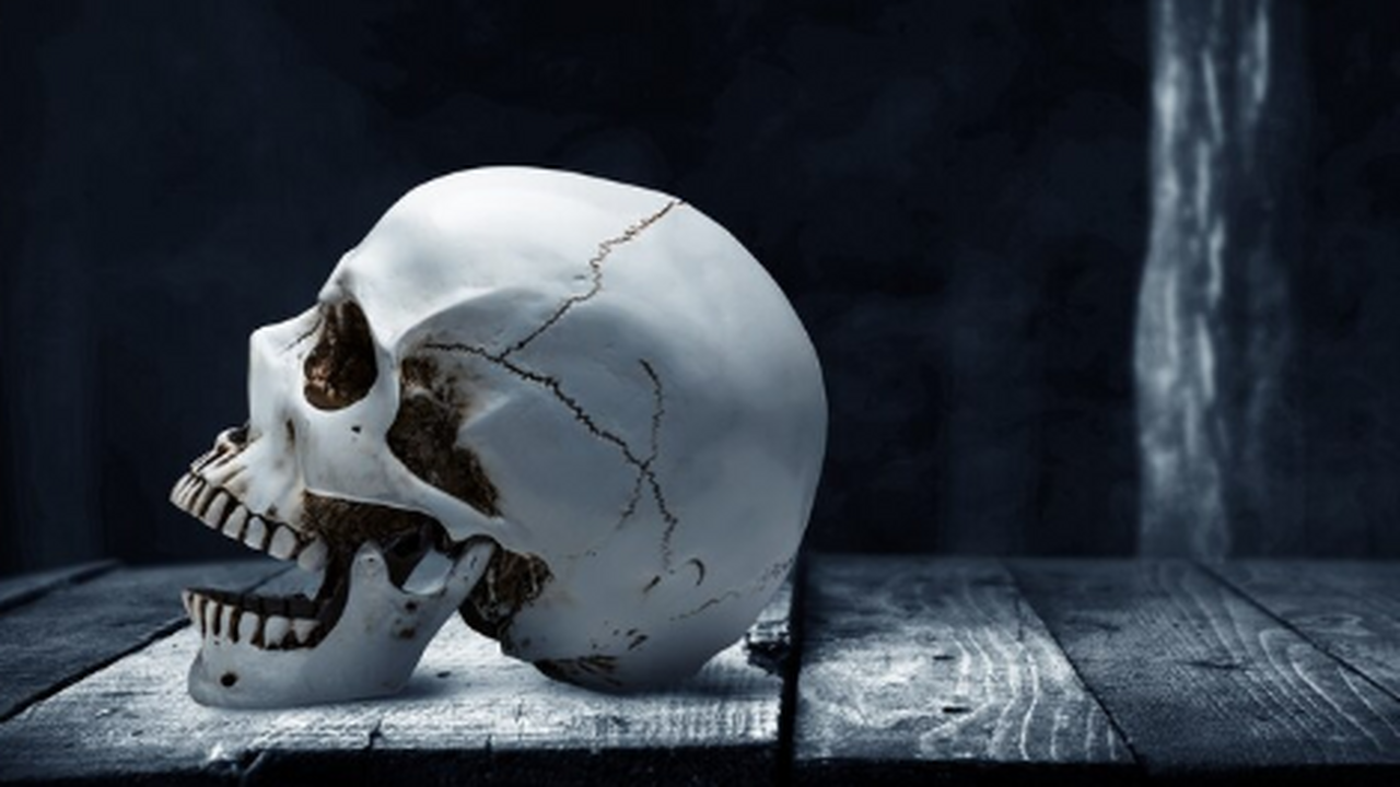 Ученые: Воссоздан облик Моцарта после полного цикла 3D-моделирования его черепа Воссоздан облик Моцарта после полного цикла 3D-...