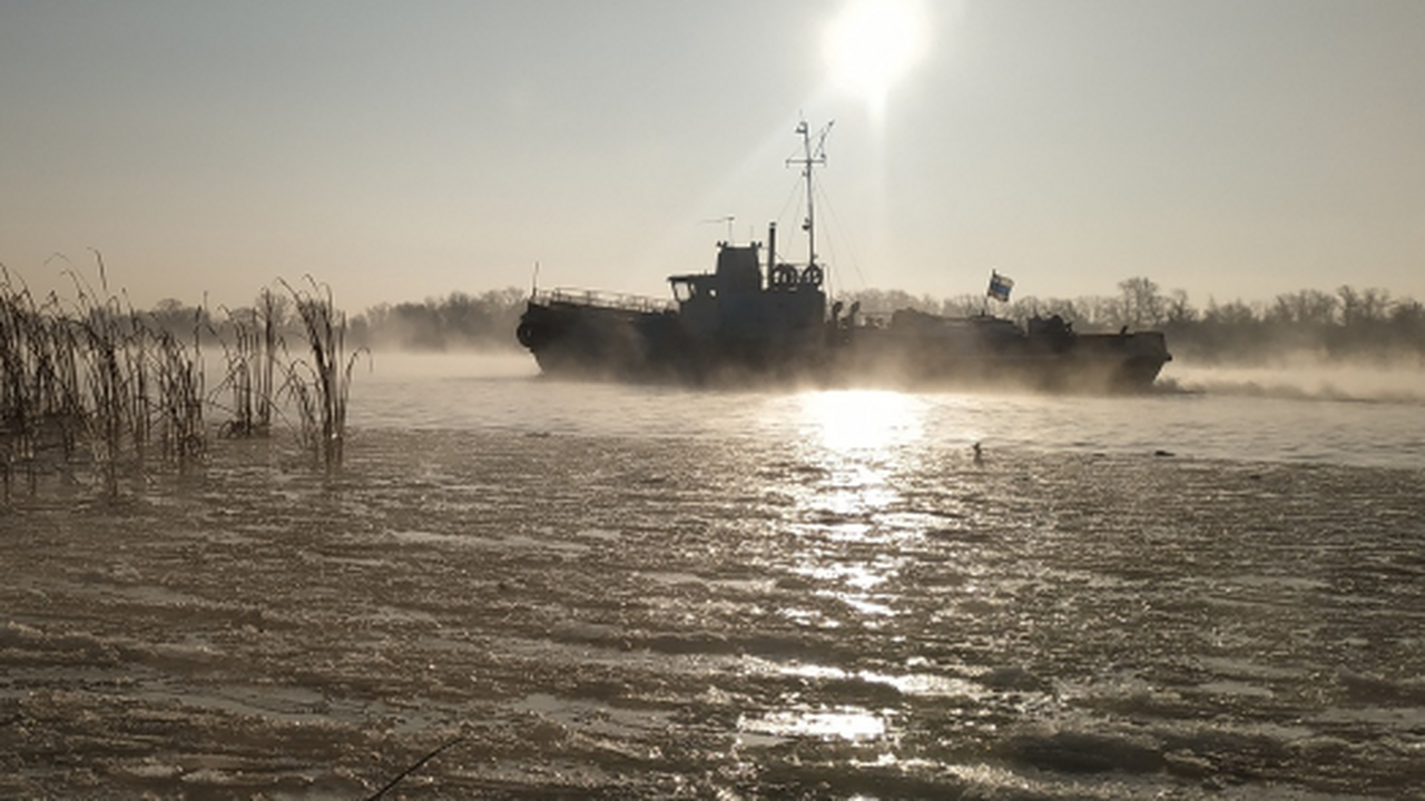 Тарифы на переправу в Рождествено вырастут до 105 рублей с января 2026 года СРПП сообщило об изменении цен на билеты