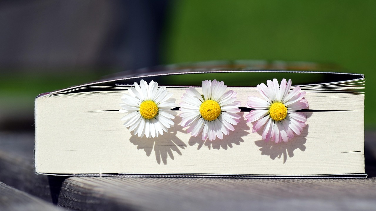 Среди лидеров - книги о Гарри Поттере, "Граф Мо...