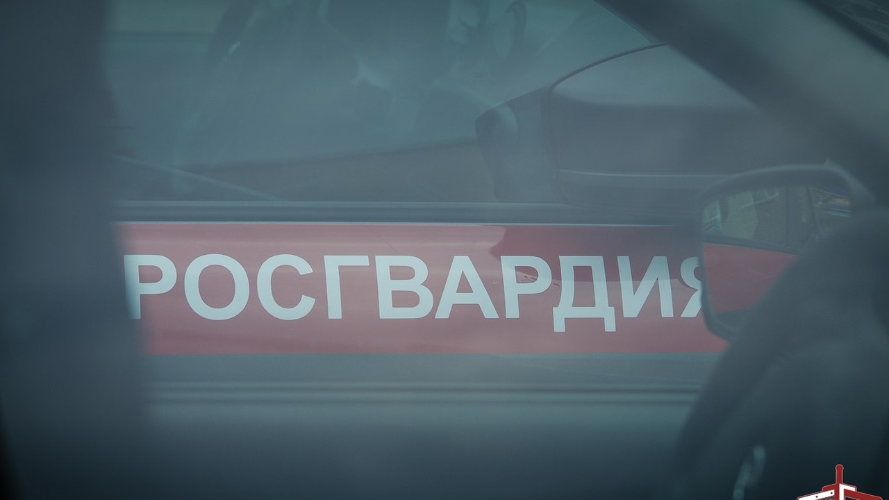 В Тольятти росгвардейцы задержали подозреваемую в краже из магазина белья После изучения записей камер видеонаблюдения ра...