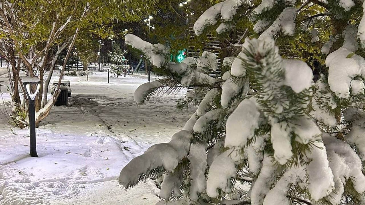 В начале декабря зима в Самарской области будет...
