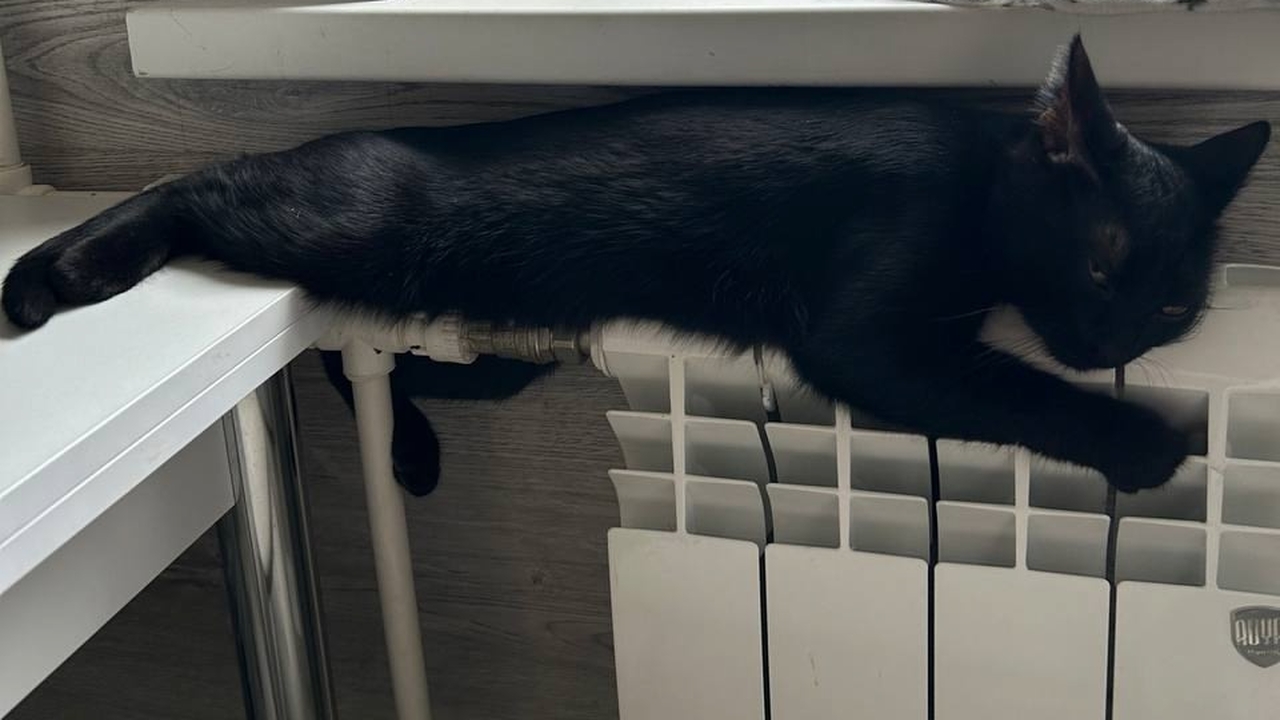 Проект приказа о повышении цен на отопление в Самаре вынесли на экспертизу Проект подготовлен региональным комитетом по та...