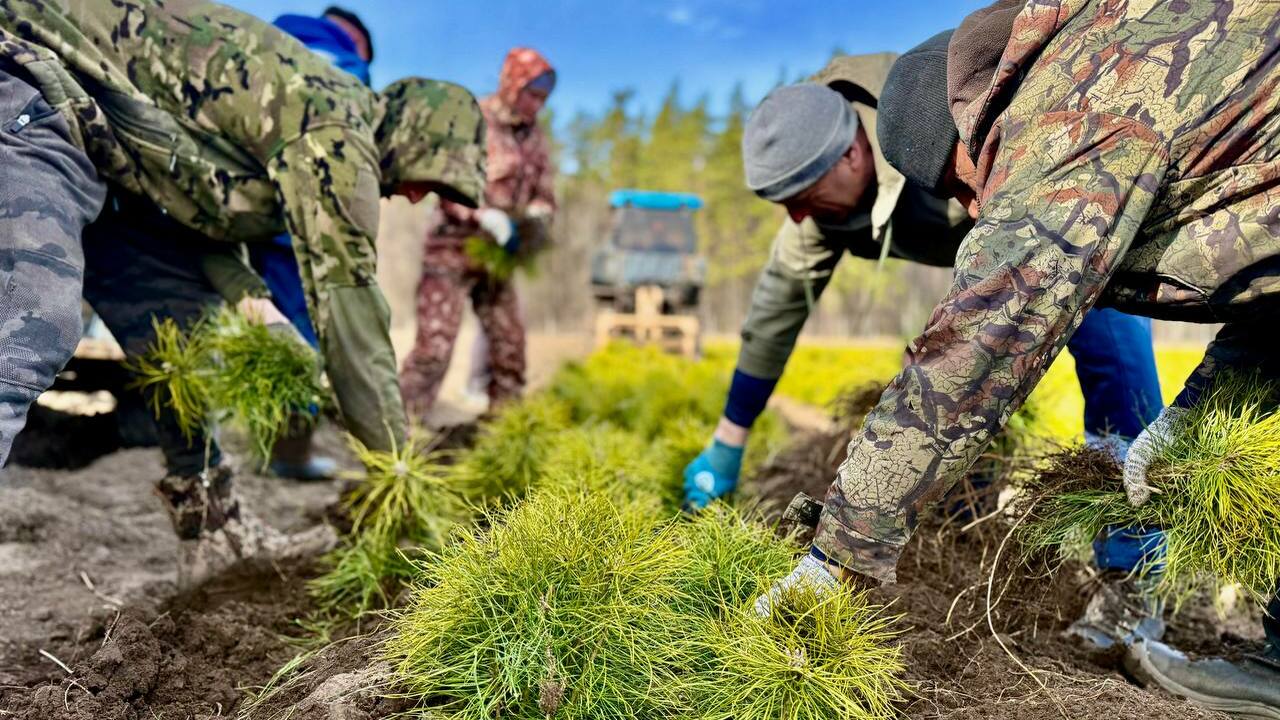 В Минприроды отметили повышение уровня защиты л...