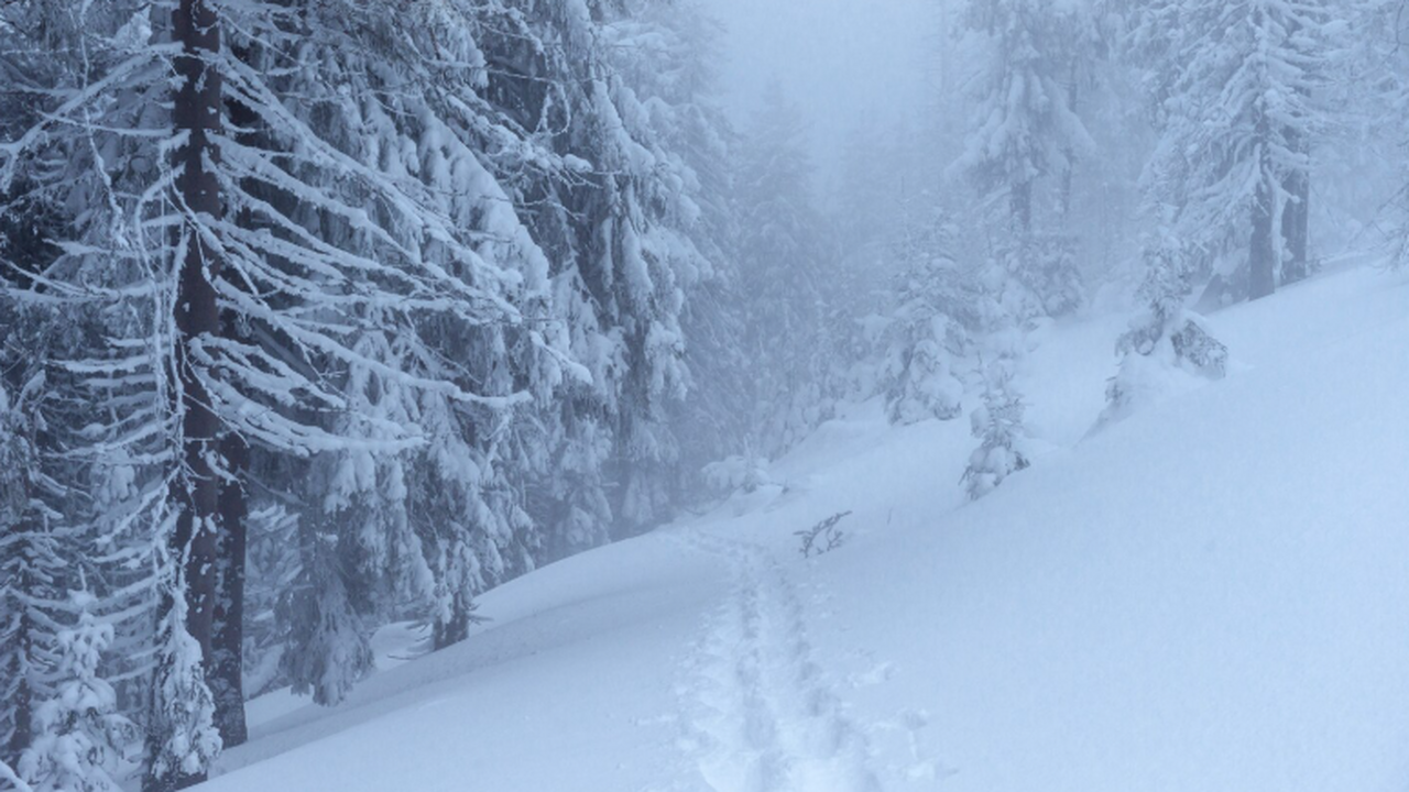 Россия привлекает арабских туристов зимой: они ...