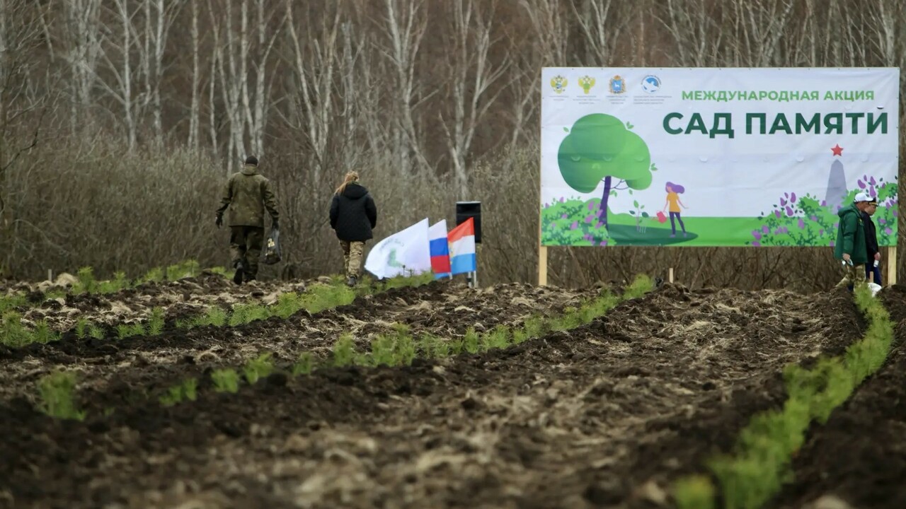 Более 4 тысяч жителей участвовали в акции «Сад памяти» в Самарской области За несколько лет проведения акции в области выс...