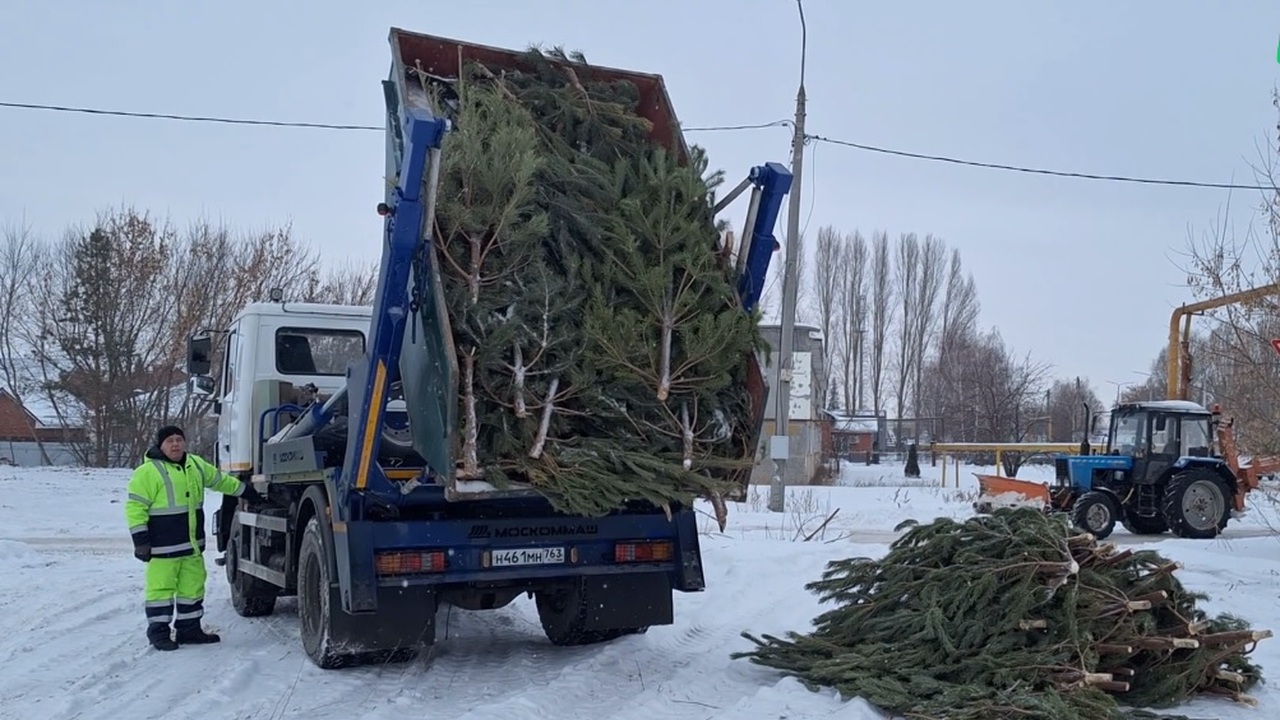 На переработку отправлено 176 кубометров нового...
