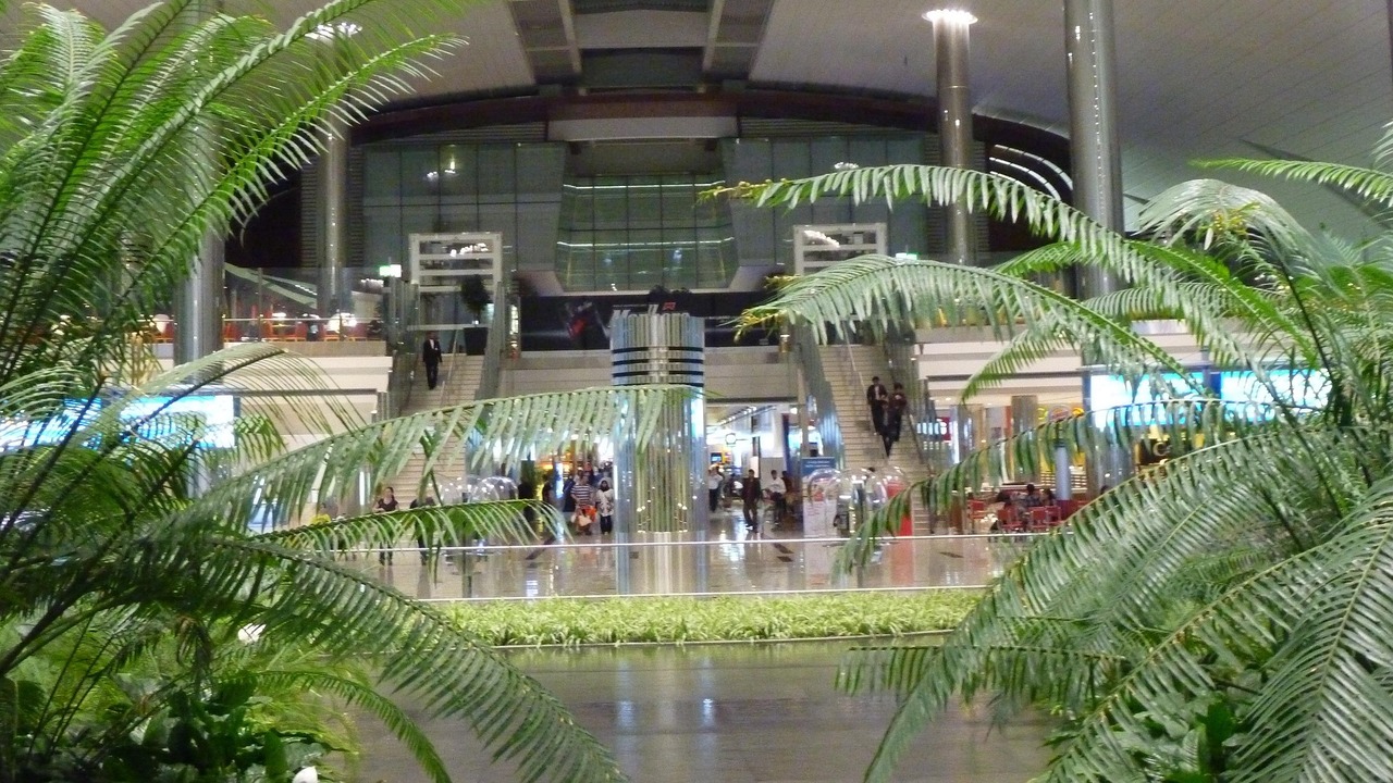 Отменен прямой и обратный рейс компании Flydubai