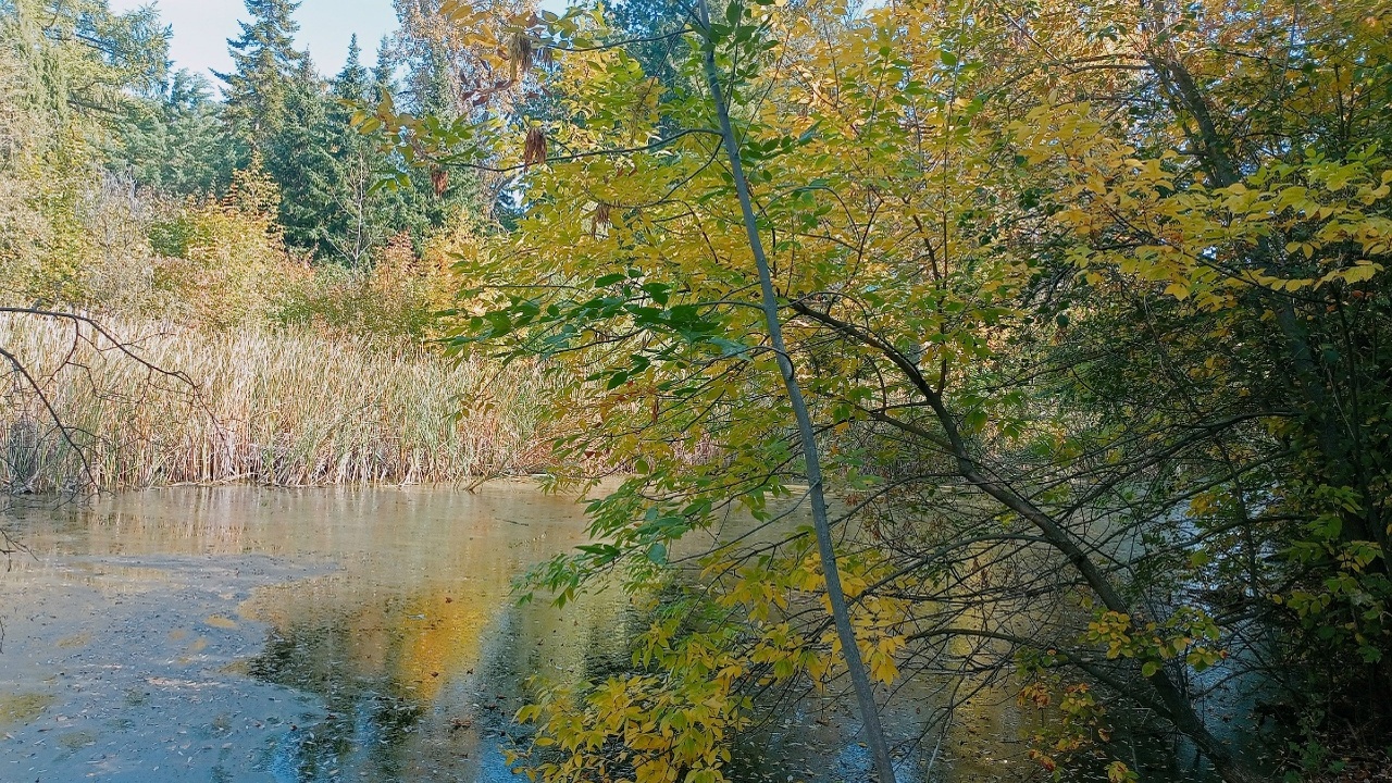 Суббота принесет тепло, воскресенье - похолодание в Самарскую область В выходные дни ожидаются температурные качели