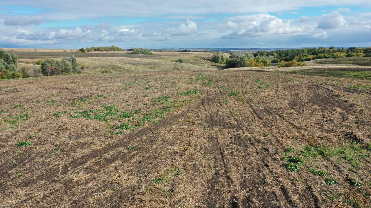 Подсудимому назначено 4,5 года лишения свободы