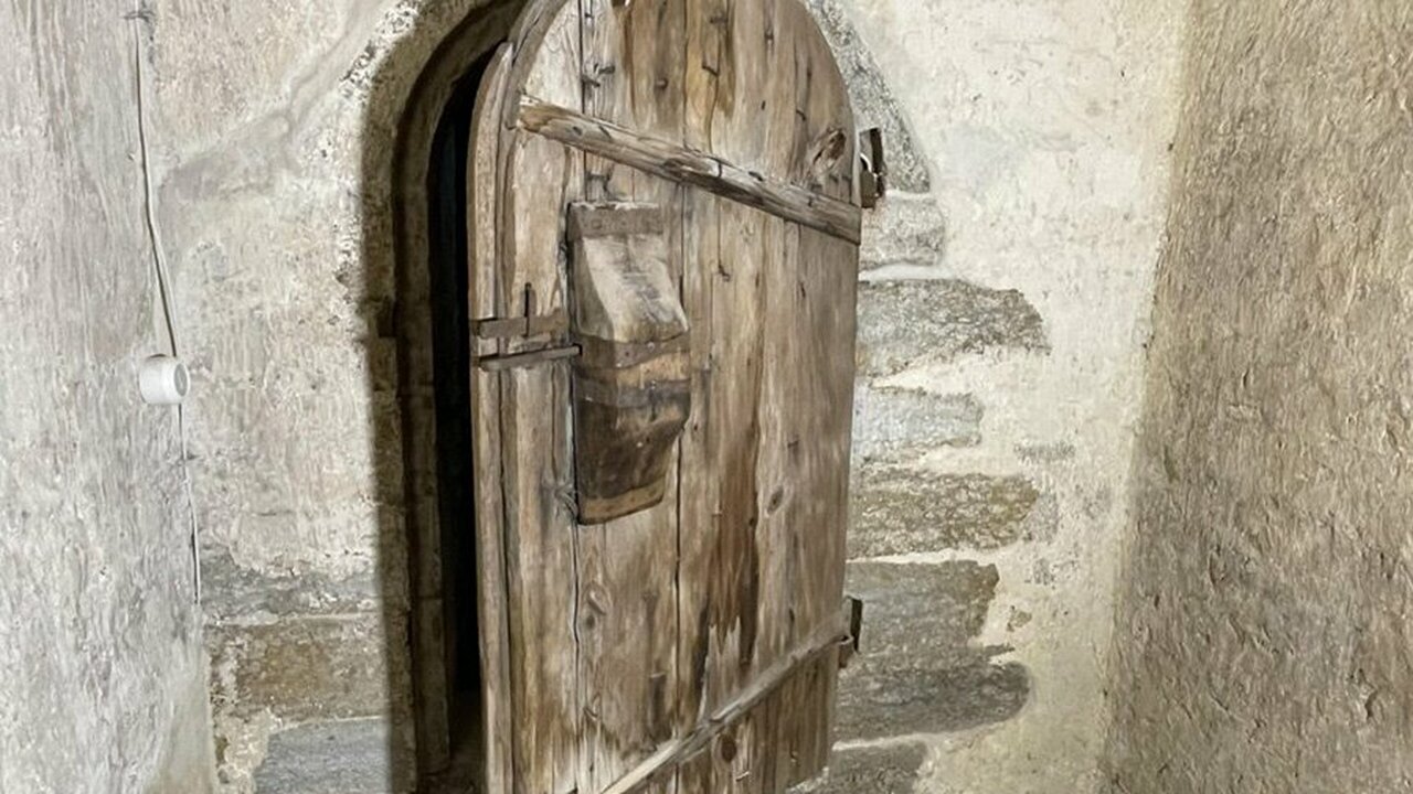 Ее возраст оценивается в 650 лет