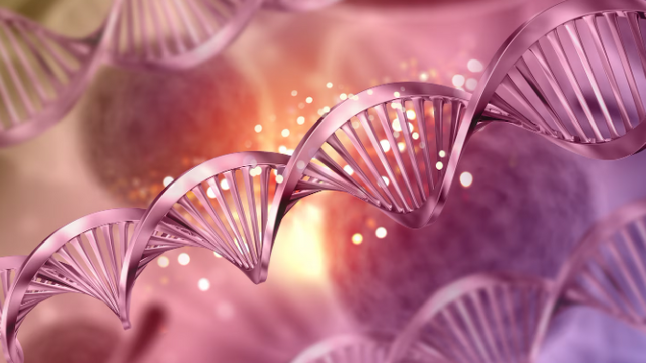 Ученые нашли вариант гена CHRNB3, уменьшающий ч...