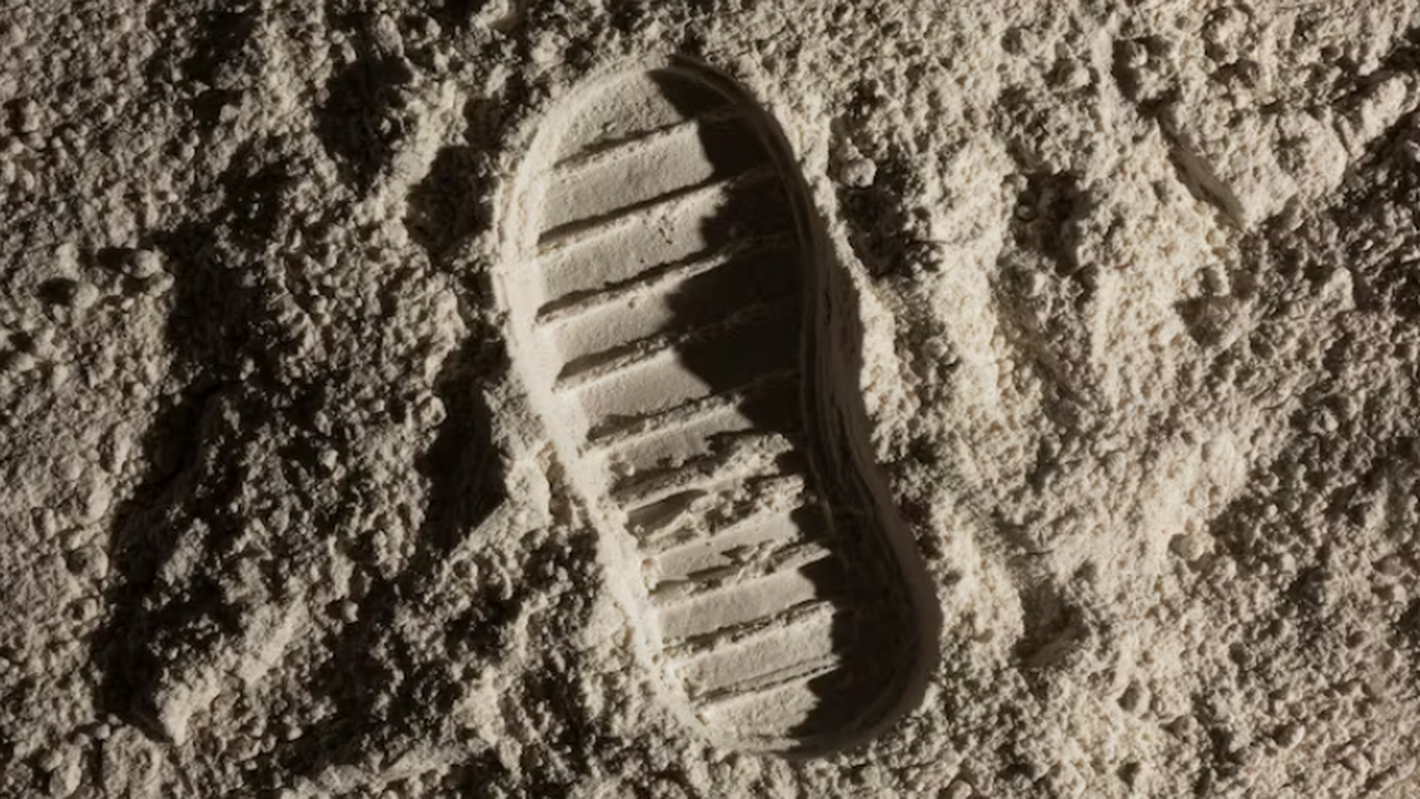 Исследователи проанализировали около 400 образц...