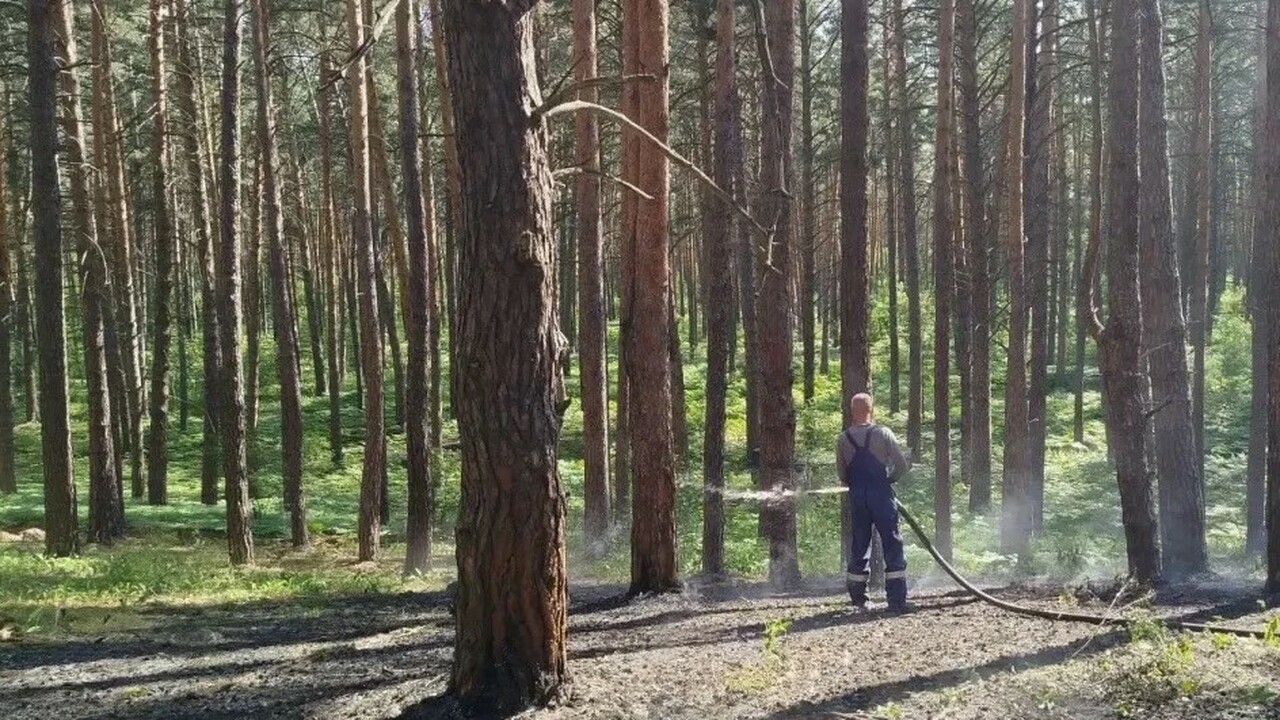 С 1 по 7 июня на территории региона произошло д...