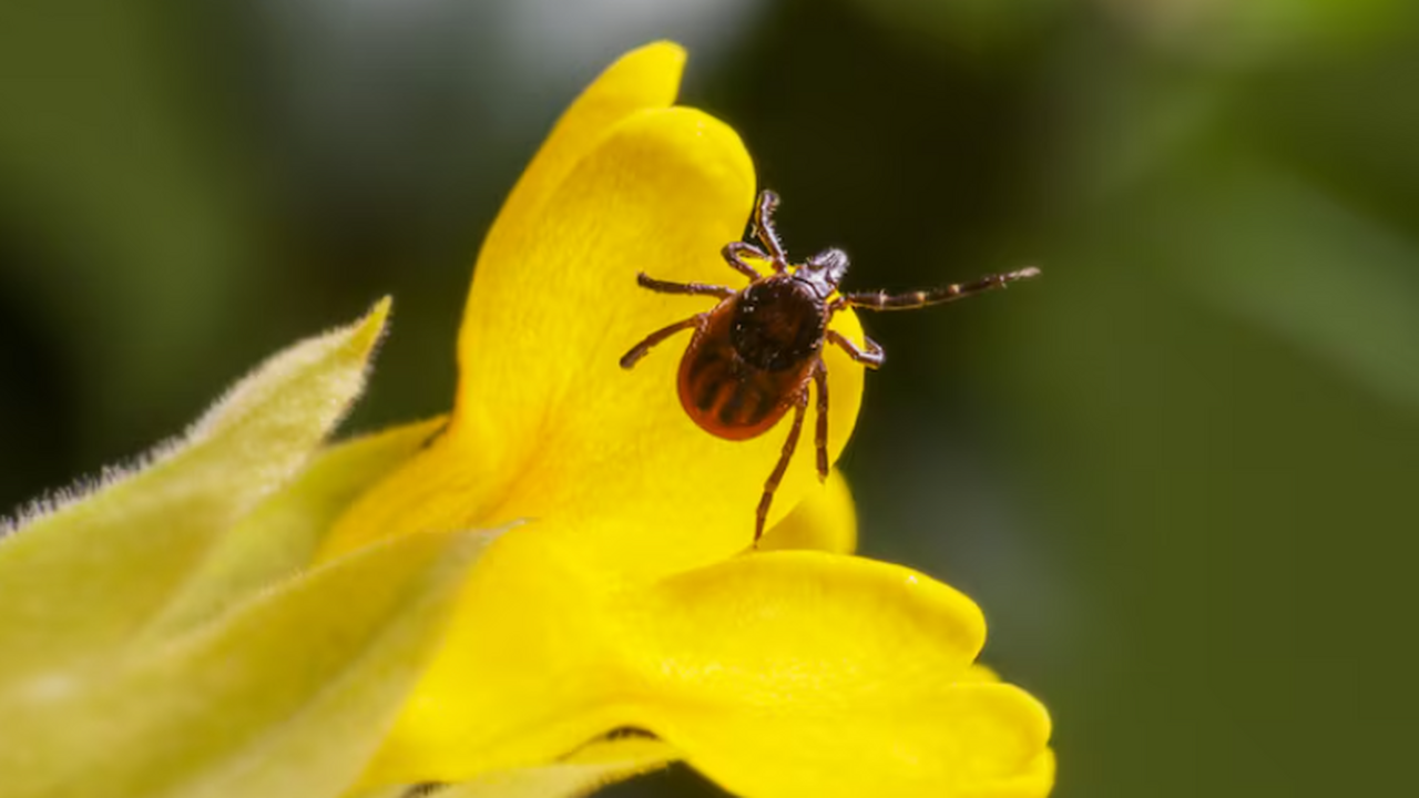 Свыше 53% российских врачей фиксировали смерть ...