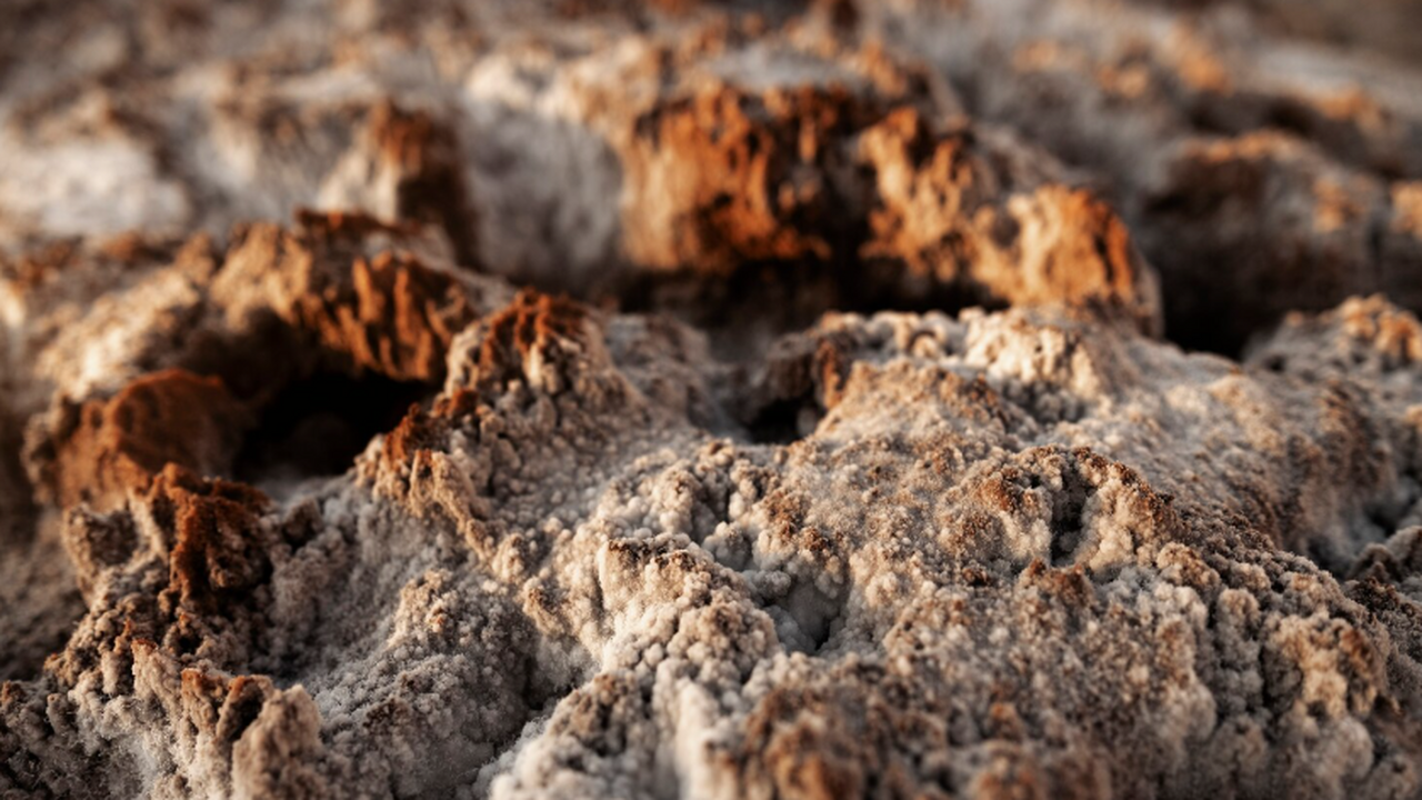 В Бразилии найдены искривленные челюсти Tanyka ...