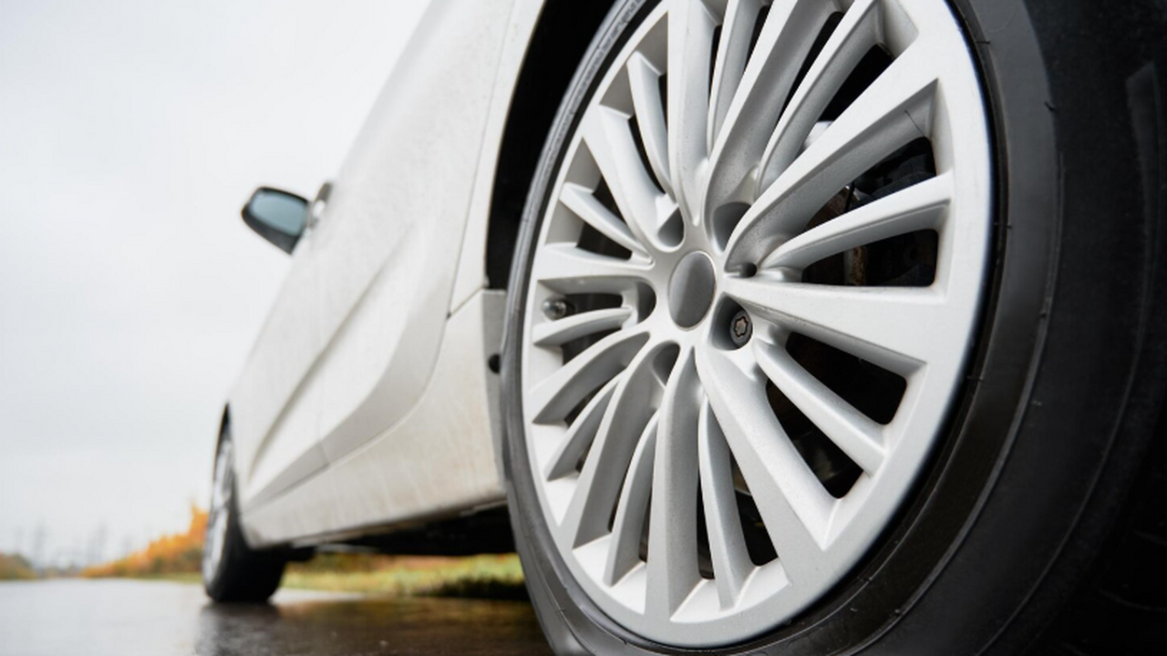 Автоэксперты предупреждают: тополиные почки и п...