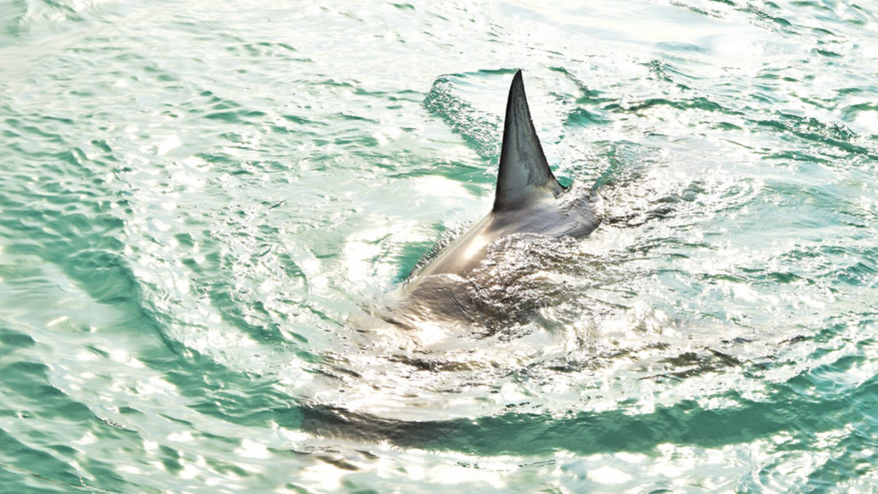 Во время отдыха в Египте туристы могут столкнут...