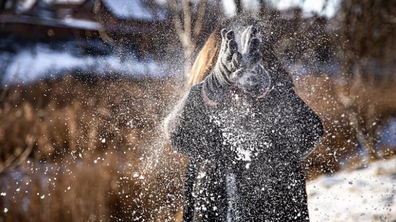 Три подсказки от природы: какой будет зима 2025−2026 года - народные приметы уже предсказывают прогноз Пока прогнозы уточняют модели, природа уже подс...