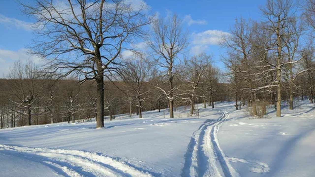 Жители направили обращение к губернатору в соцс...