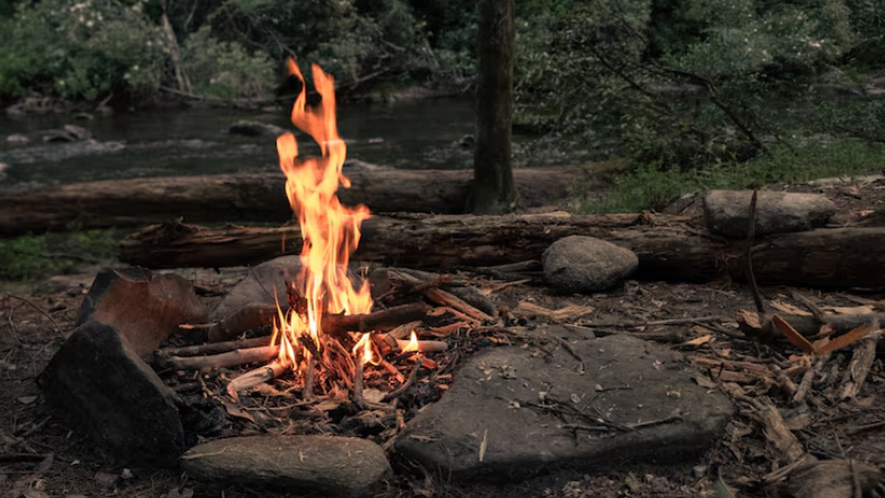 Исследование показало, что архаические люди в И...
