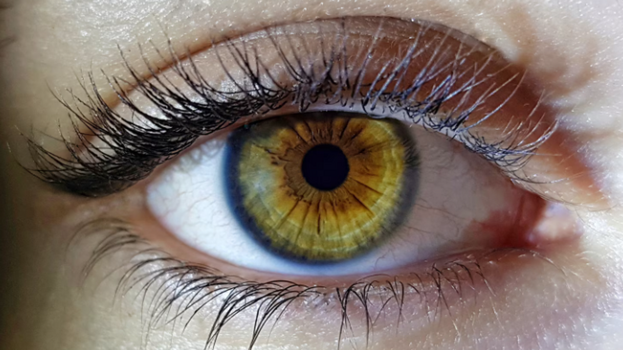 Ученые сообщил о создании новой технологии иден...