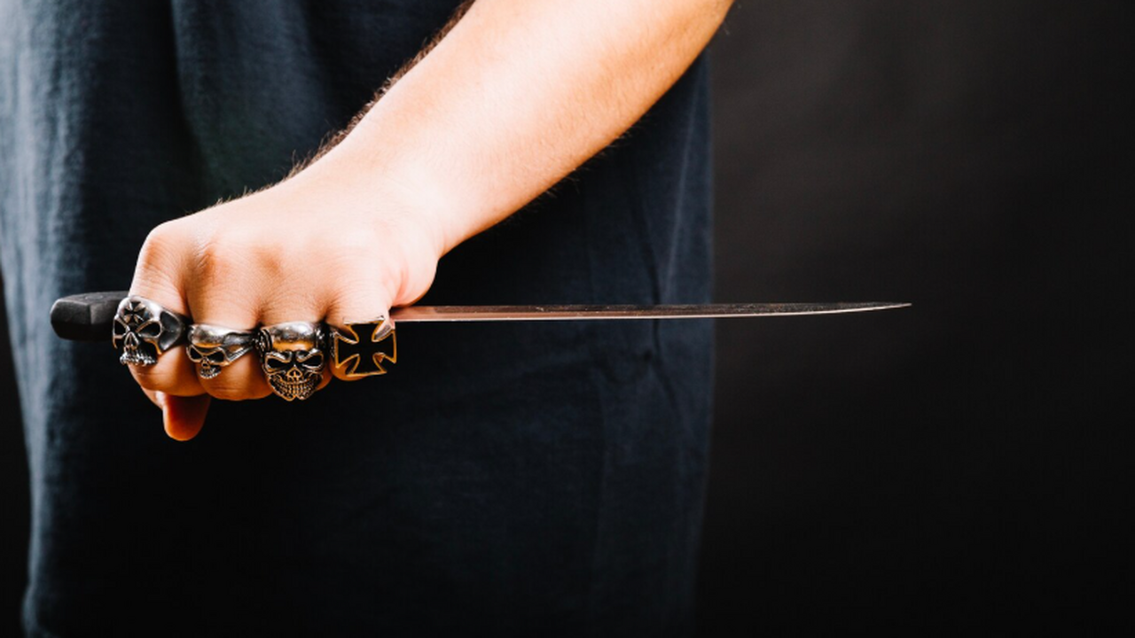 Arkeonews: в болоте Швеции нашли захоронение собаки с костяным кинжалом На болоте Логсйёмоссен на юге Швеции археологи ...