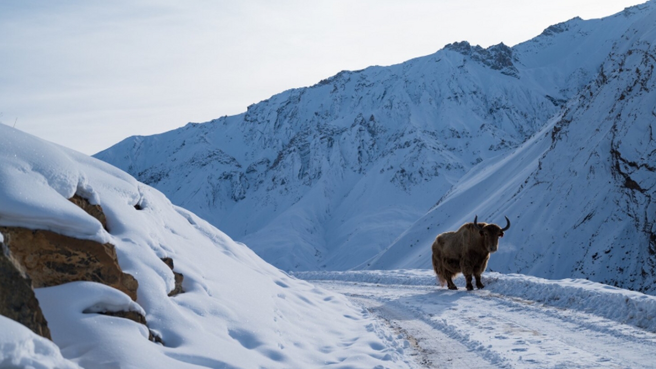 Якутия стала популярным направлением для экстре...