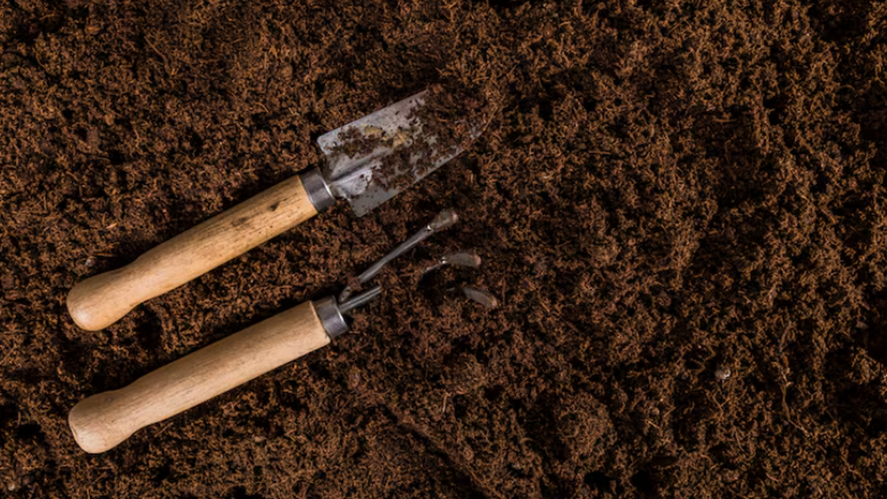 Ученые заключили соглашение о сотрудничестве в ...